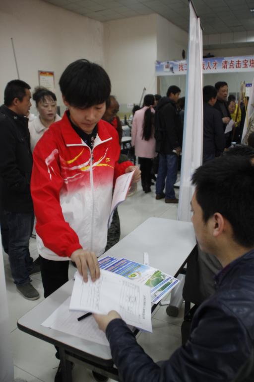 发放求职登记表